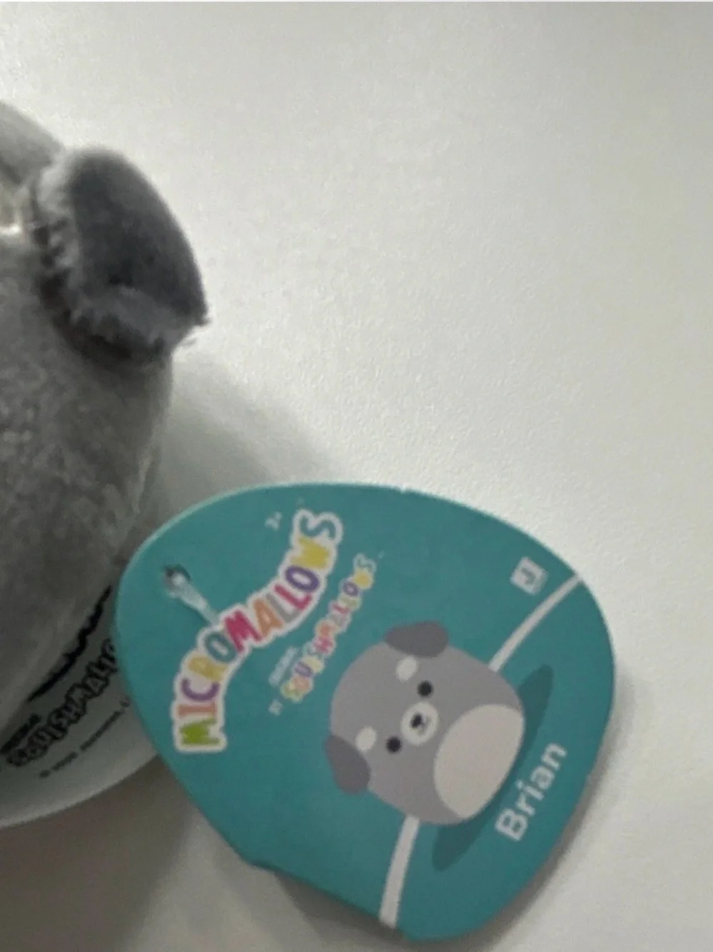 Squishmallows Gray and Cream Puppy Plush